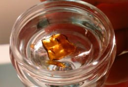 cannabis extract