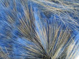 polyester fibers